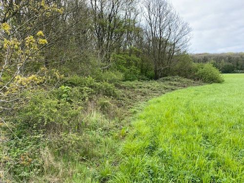 Land at Chessell, Isle of Wight