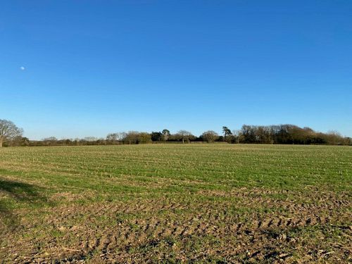 Land at High Cross, Froxfield, Petersfield, GU32 1DN