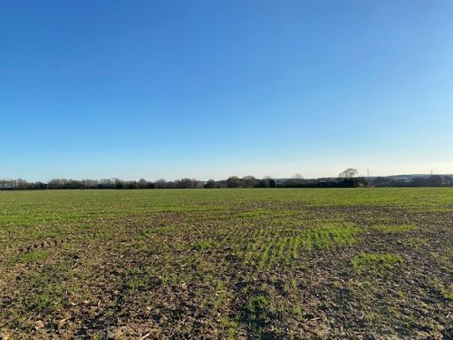 Land at High Cross, Froxfield, Petersfield, GU32 1DN